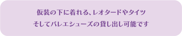 アセット 13